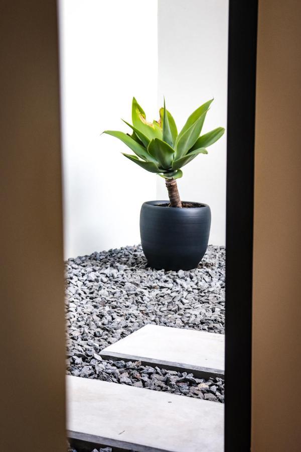 Aljube Residences I - Apt Novo, Com Terraco, Centro Pdl Ponta Delgada Exteriér fotografie